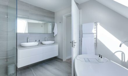 Bathroom Renovation Tips Every Homeowner Should Know